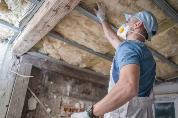 Best Insulation Maintenance and Repair in Lagrange, IN